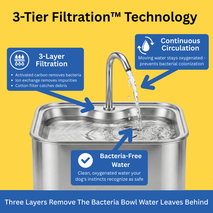 PawMex Ultimate Water Filtration Kit