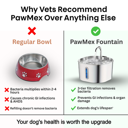 PawMex Ultimate Water Filtration Kit