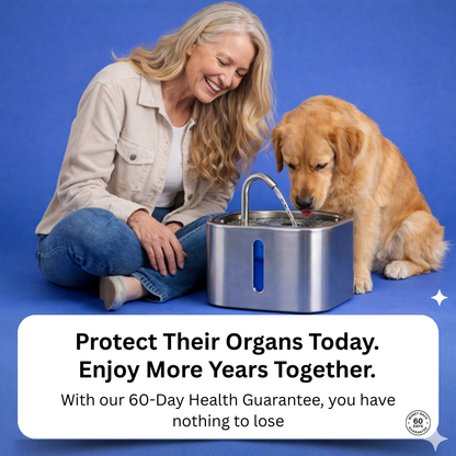 PawMex Ultimate Water Filtration Kit