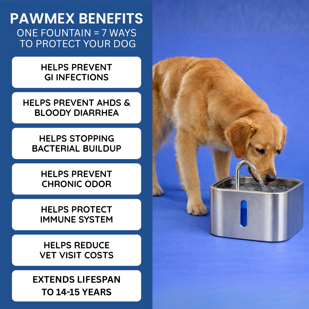 PawMex Ultimate Water Filtration Kit