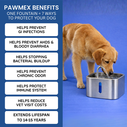 PawMex Ultimate Water Filtration Kit