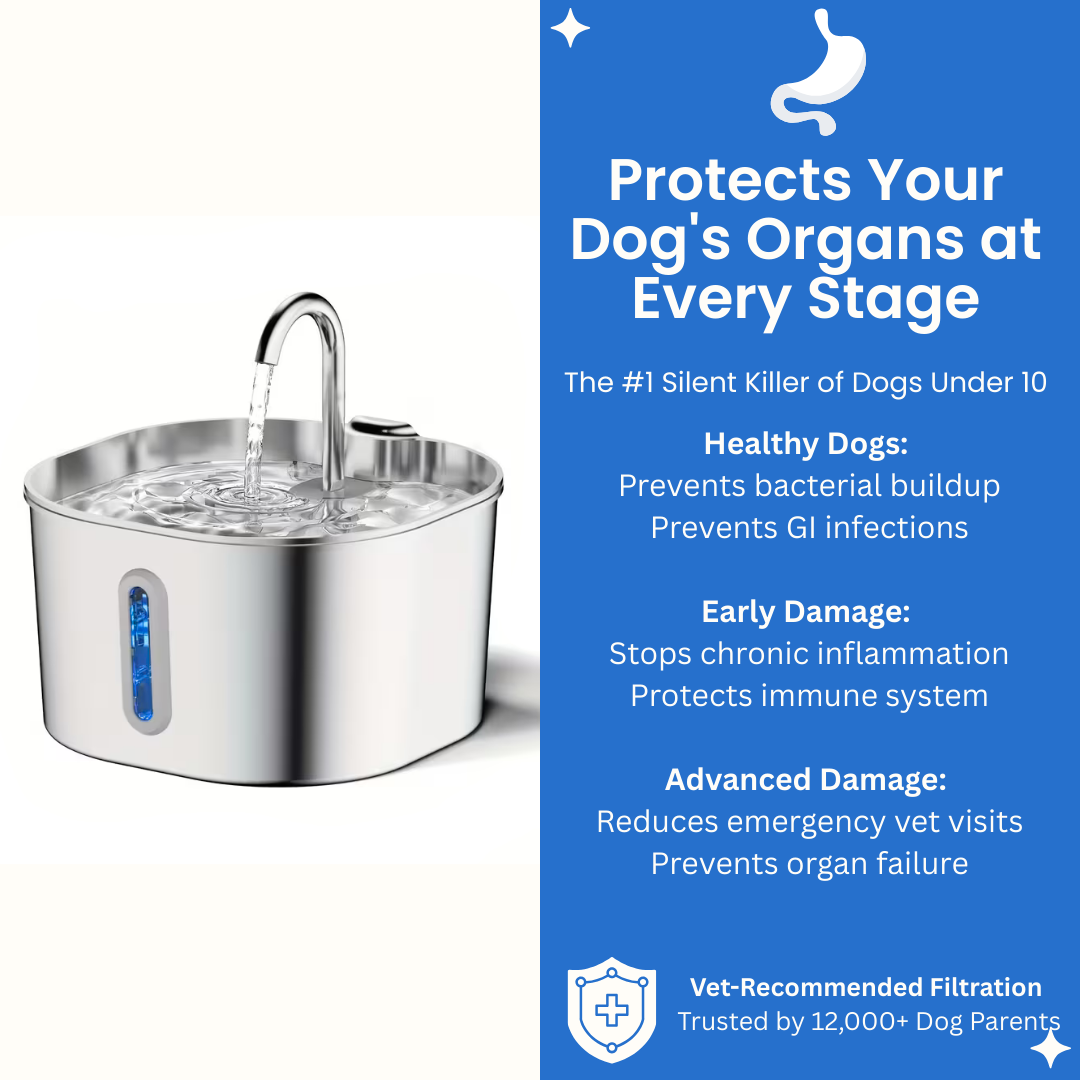 PawMex Ultimate Water Filtration Kit