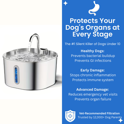 PawMex Ultimate Water Filtration Kit